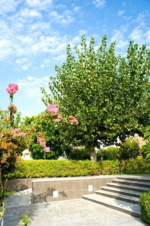 Alfa Hotel Apartments Gerani  Exterior photo